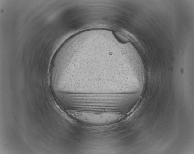 X0000077321236200611101450