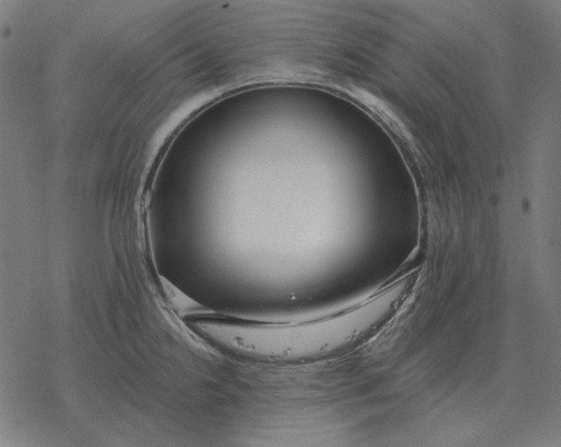 X0000077321238200611101450