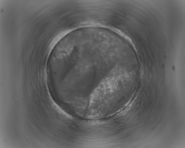 X0000077321239200611101450