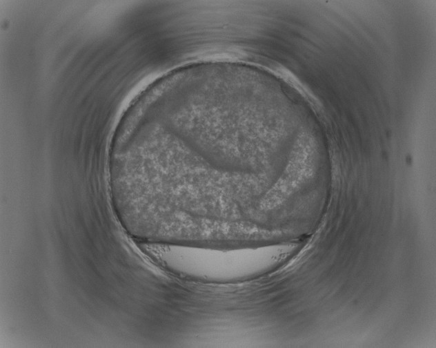 X0000077321240200611101450