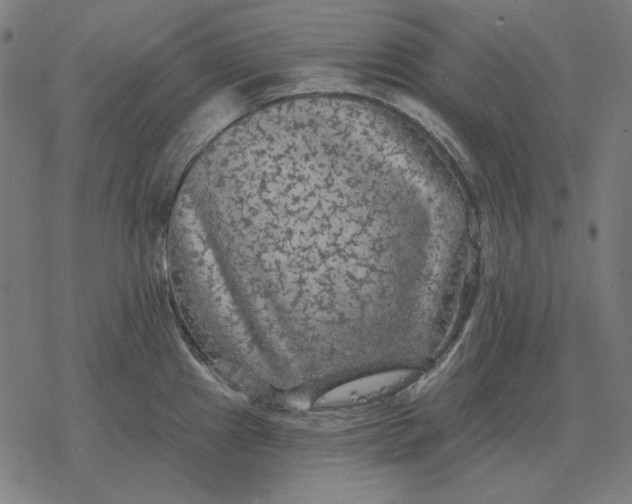 X0000077321241200611101450