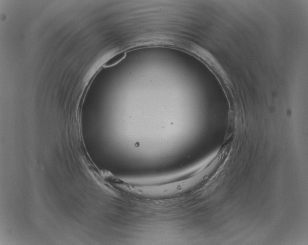 X0000077321242200611101450