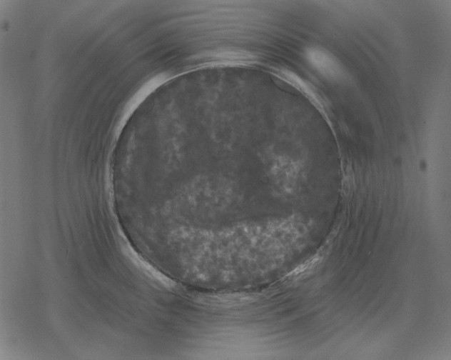 X0000077321243200611101450