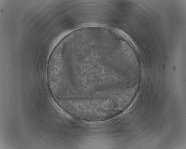 X0000077321244200611101450