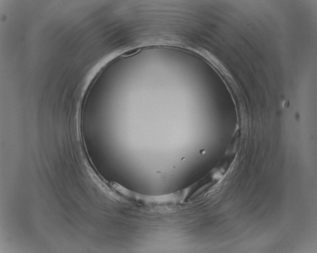 X0000077321246200611101450