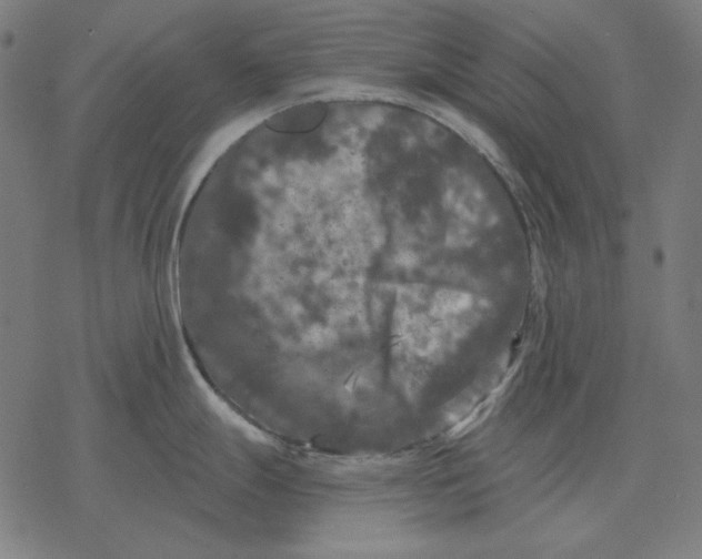 X0000077321247200611101450