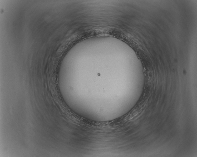 X0000077321249200611101449