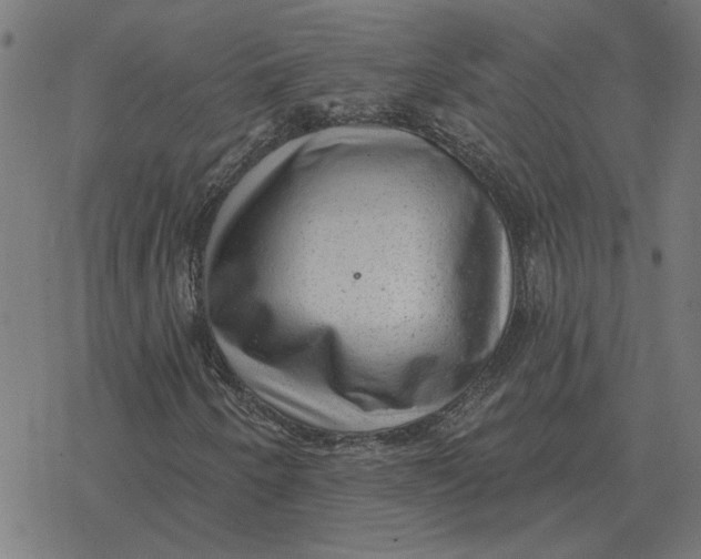 X0000077321250200611101449