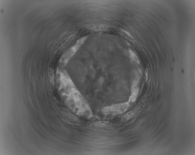 X0000077321251200611101449