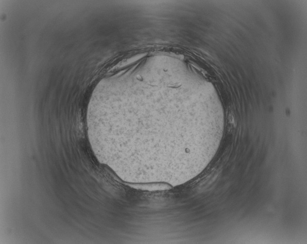 X0000077321252200611101449