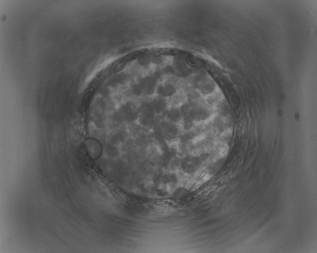 X0000077321255200611101449