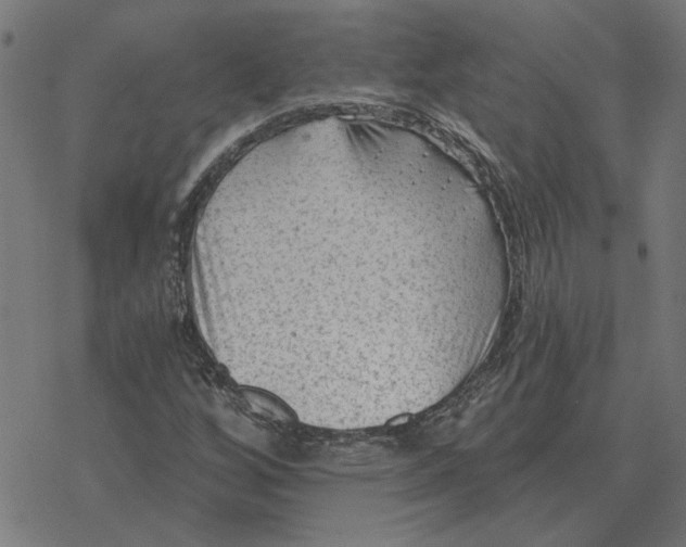 X0000077321256200611101449