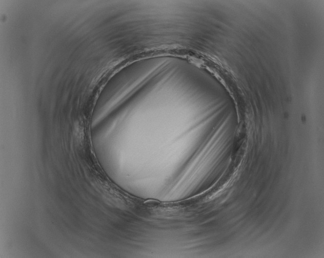 X0000077321257200611101449