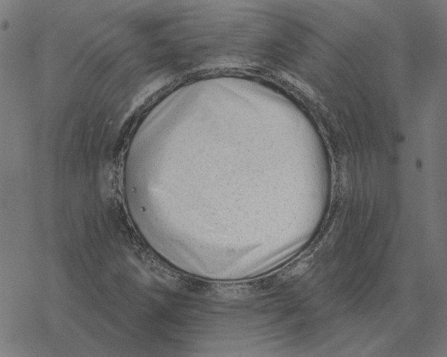 X0000077321258200611101449