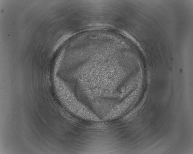 X0000077321259200611101449