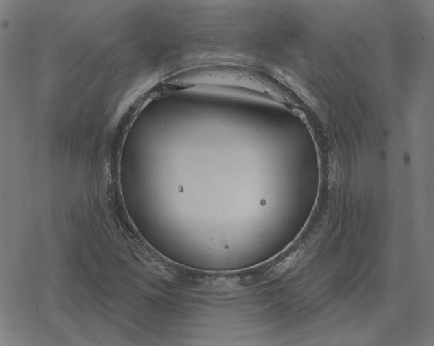 X0000077321261200611101449