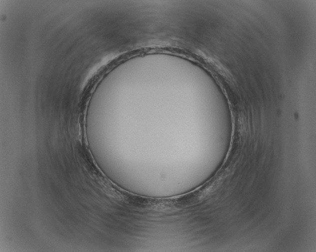 X0000077321262200611101449