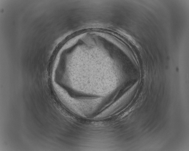 X0000077321264200611101449