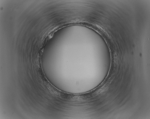 X0000077321265200611101449