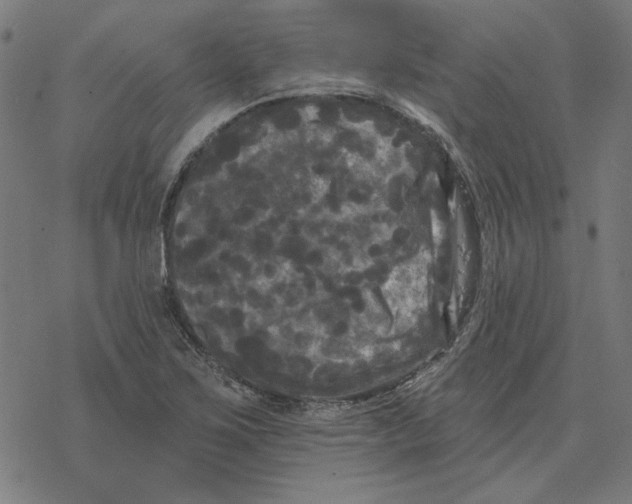 X0000077321267200611101449