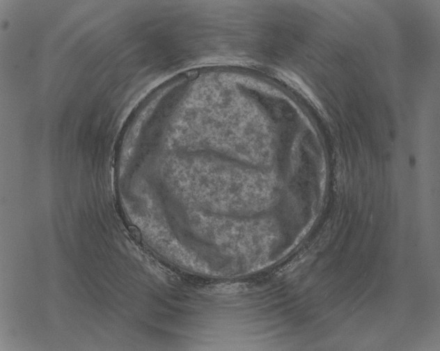 X0000077321268200611101449