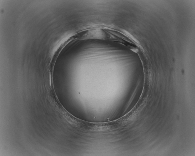 X0000077321269200611101449