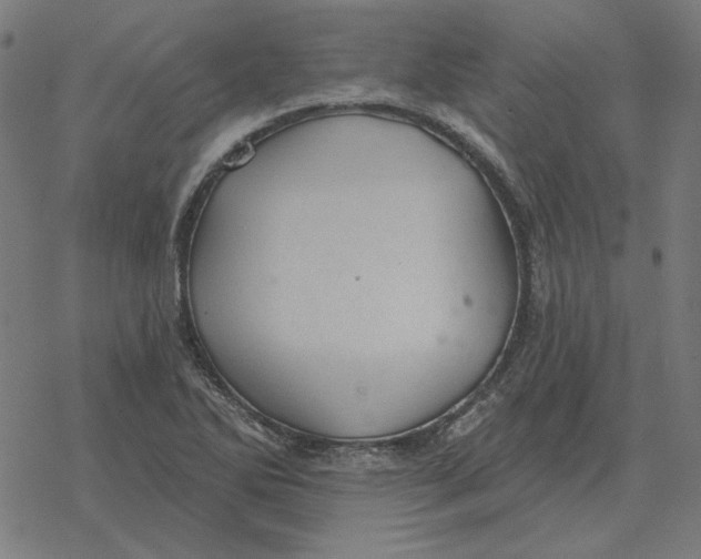 X0000077321270200611101449