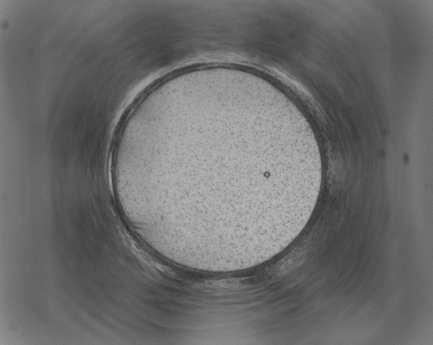 X0000077321272200611101449