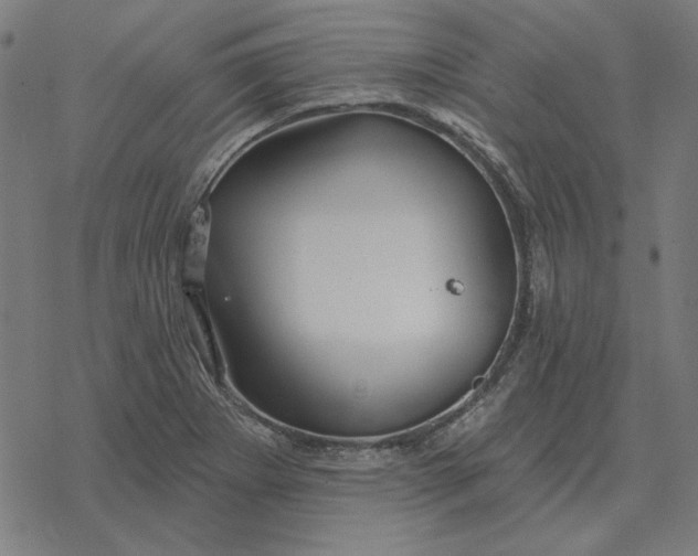 X0000077321273200611101449