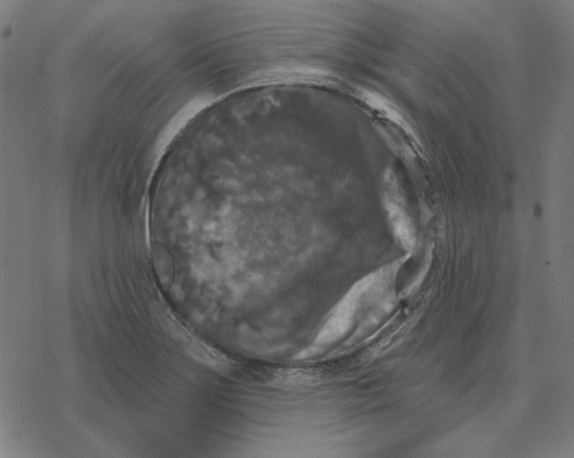 X0000077321275200611101449