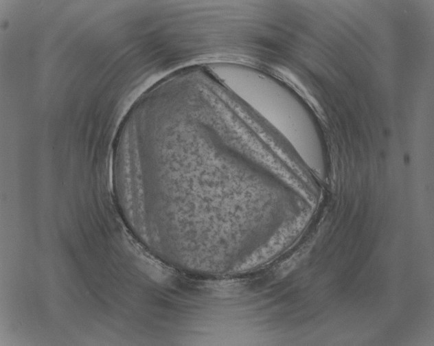 X0000077321276200611101449