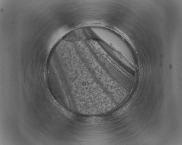 X0000077321277200611101449