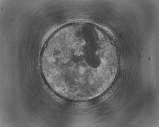 X0000077321279200611101449