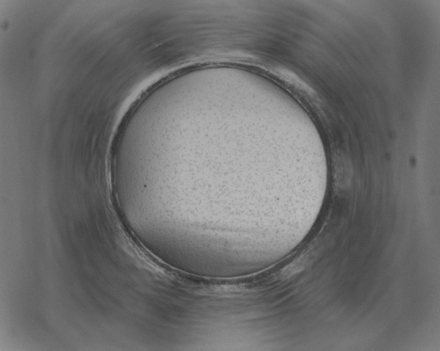 X0000077321280200611101449