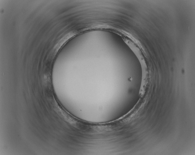 X0000077321281200611101449