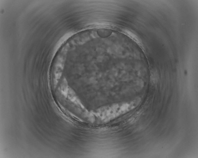 X0000077321283200611101449