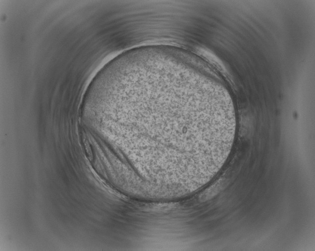 X0000077321284200611101449