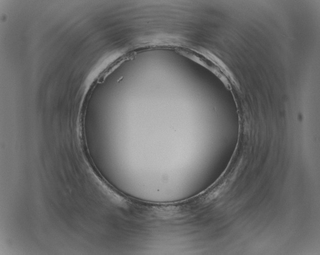 X0000077321285200611101449