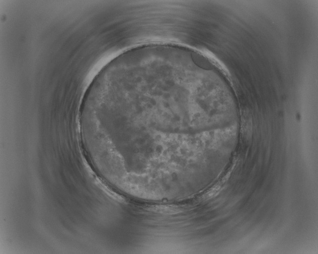 X0000077321287200611101449