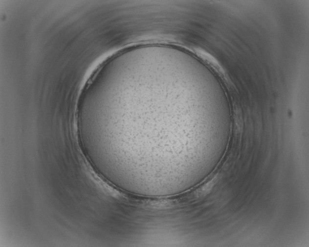 X0000077321288200611101449