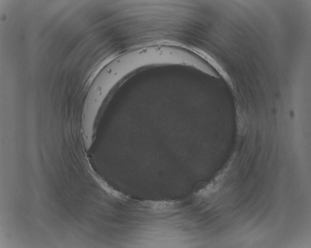 X0000077321289200611101449