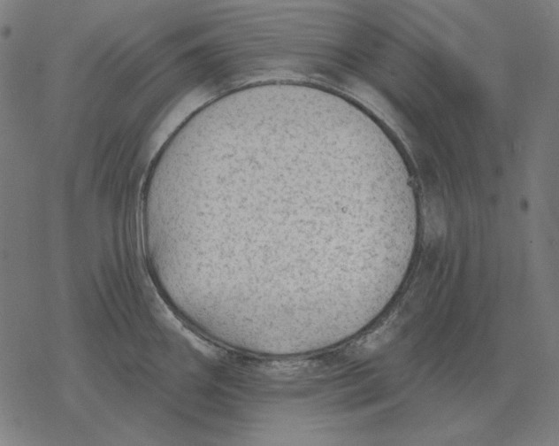 X0000077321290200611101449