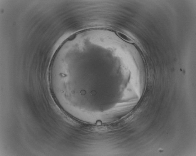 X0000077321291200611101449