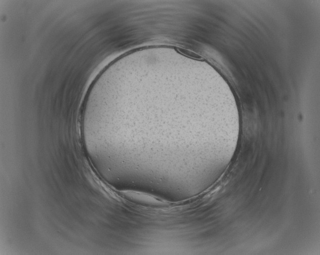 X0000077321292200611101449