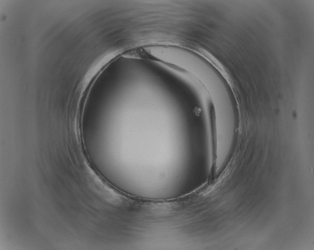 X0000077321293200611101449