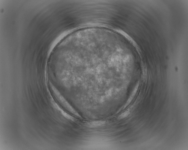 X0000077321294200611101449