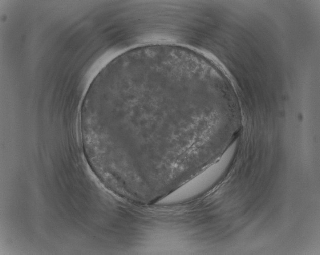 X0000077321295200611101449