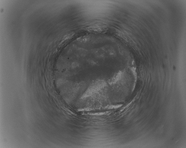 X0000077321297200611101448