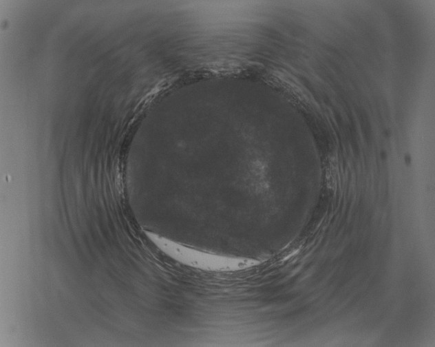 X0000077321298200611101448