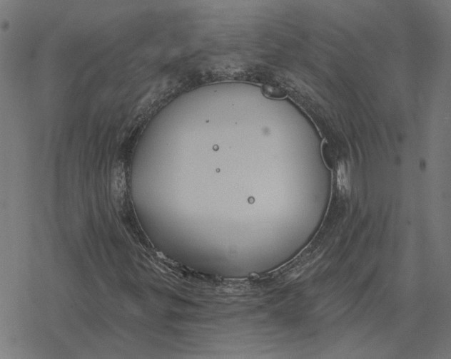 X0000077321299200611101448